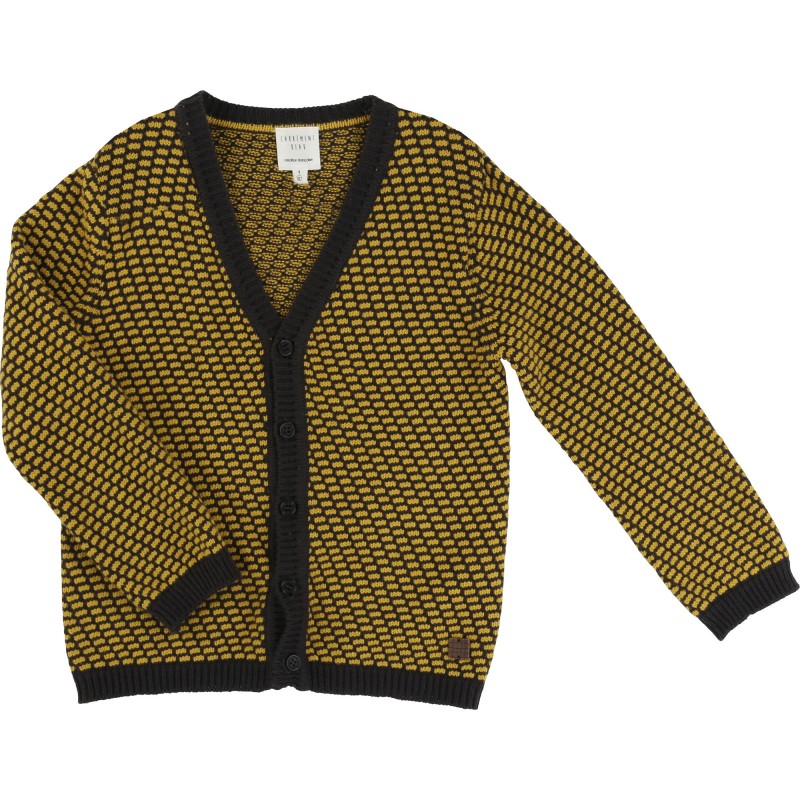 CARREMENT BEAU - Cardigan gris et jaune